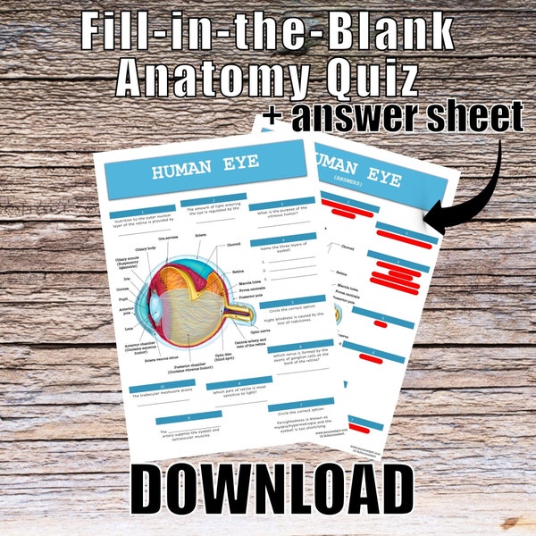 Human Eyeball Anatomy QUIZ Worksheet + Answers - Digital Download Printable Anatomy Worksheet Med Nurse Biology Student Study Notes