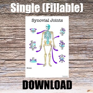 May include: A printable worksheet with a skeleton diagram showing different types of synovial joints. The joints are labeled with arrows and descriptions of their movement. The title of the worksheet is "Synovial Joints".