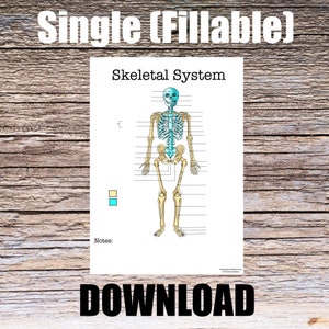 May include: A printable worksheet featuring a skeletal system diagram with blank lines for labeling. The diagram shows a human skeleton in a standing position with the bones labeled. The worksheet is titled "Skeletal System" and includes a key with two colored squares. The text "DOWNLOAD" is at the bottom of the page.