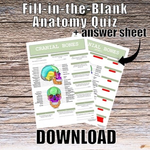 Cranial Bones Anatomy QUIZ Worksheet + Answers - Digitaler Download druckbares Anatomie-Arbeitsblatt Med Nurse Biologie Studentenstudie Notizen