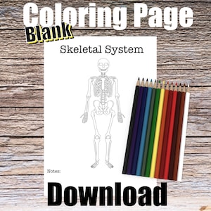 Skeletal System Anatomy Coloring Page- BLANK- Digital Download Skeleton Anatomy Diagram Anatomy Worksheet RN Orthopedic Student Study Guide