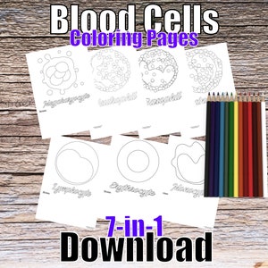 Blood Cells, 7-in-1 Coloring Pages, Digital Download Printable RBC Neutrophil Eosinophil Basophil Macrophage Lymphocyte Student Study Guide