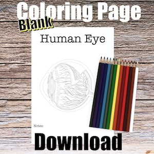 Human Eyeball Anatomy Coloring Page- BLANK- Digital Download Eye Anatomy Diagram Anatomy Worksheet RN PA Ophthalmology Student Study Notes