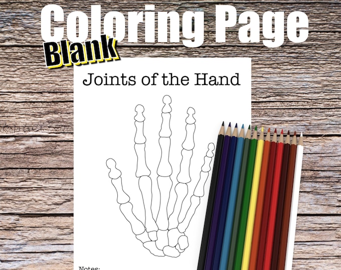 Joints of the Hand Anatomy Coloring Page- BLANK- Digital Download PIP DIP Anatomy Diagram Anatomy Worksheet Student Study Guide Anatomy Art