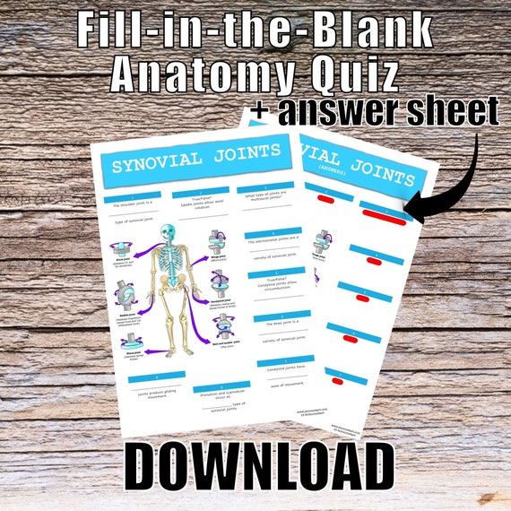 Synovial Joints Anatomy QUIZ Worksheet + Answers - Digital Download Printable Anatomy Worksheet Med Nurse Biology Student Study Notes