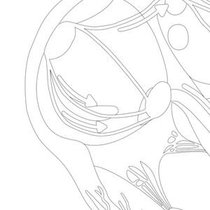 Heart Conduction System Coloring Page | Unlabeled | Cardiac Anatomy ...