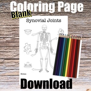 May include: A black and white coloring page of a human skeleton with the title "Synovial Joints". The page includes illustrations of different types of joints. A set of colored pencils is included in the image.