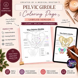 May include: A labeled "Pelvic Girdle Coloring Page" with the text "Learn, Relax, Remember." The image shows a black and white pelvic girdle diagram and a colored version on a tablet. The text says "Instant Download" and "Print & Color."