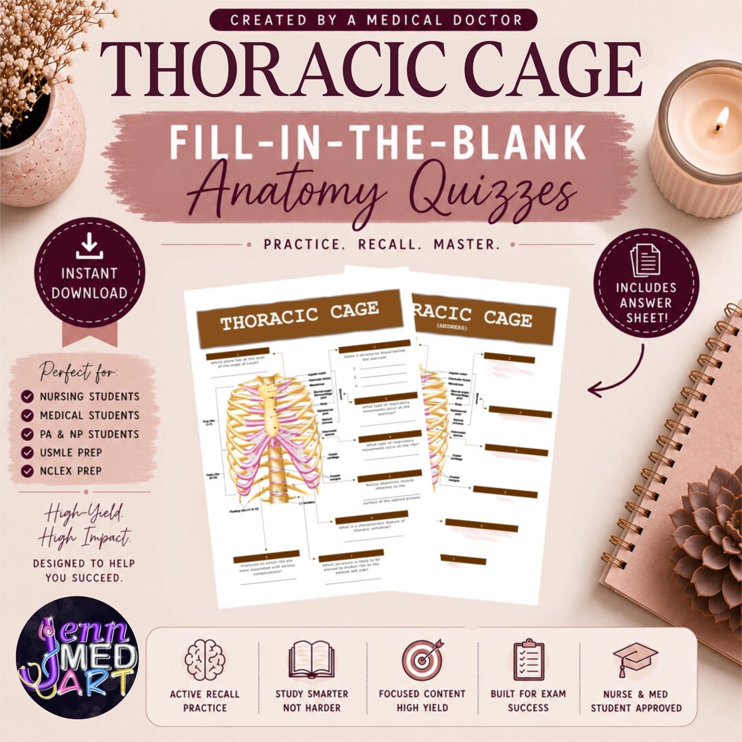 Thoracic Cage Anatomy Quiz | Printable Questions + Answers | Med, PA &amp; Nursing Study Guide - Etsy