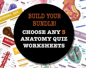 Build-Your-Own Anatomy Quiz Worksheet Bundle - 3 Pages - Digital Download Anatomy Notes Anatomy Worksheet Med Student Study Notes
