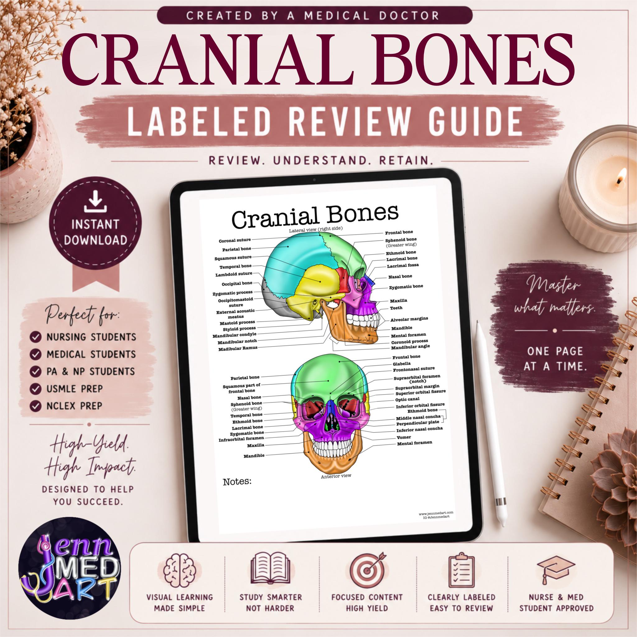 健康・医学 Cranial Participant Guide il_fullxfull.8052054525_lzig.jpg