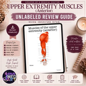 May include: Anatomical study guide titled "Upper Extremity Muscles (Anterior)" with an illustration of arm muscles. The guide is designed for medical and nursing students, with the text "Unlabeled Review Guide" and "Instant Download" visible.