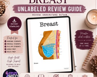 Breast Anatomy Review Guide | Unlabeled | Mammary Anatomy Study Sheet | Sonography Student Download