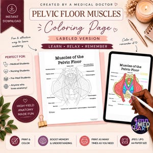 May include: A digital download of a pelvic floor muscles colouring page. The image shows a labelled diagram of the pelvic floor muscles, with the text "Muscles of the Pelvic Floor" at the top. The image also includes the text "Colouring Page" and "Learn, Relax, Remember."