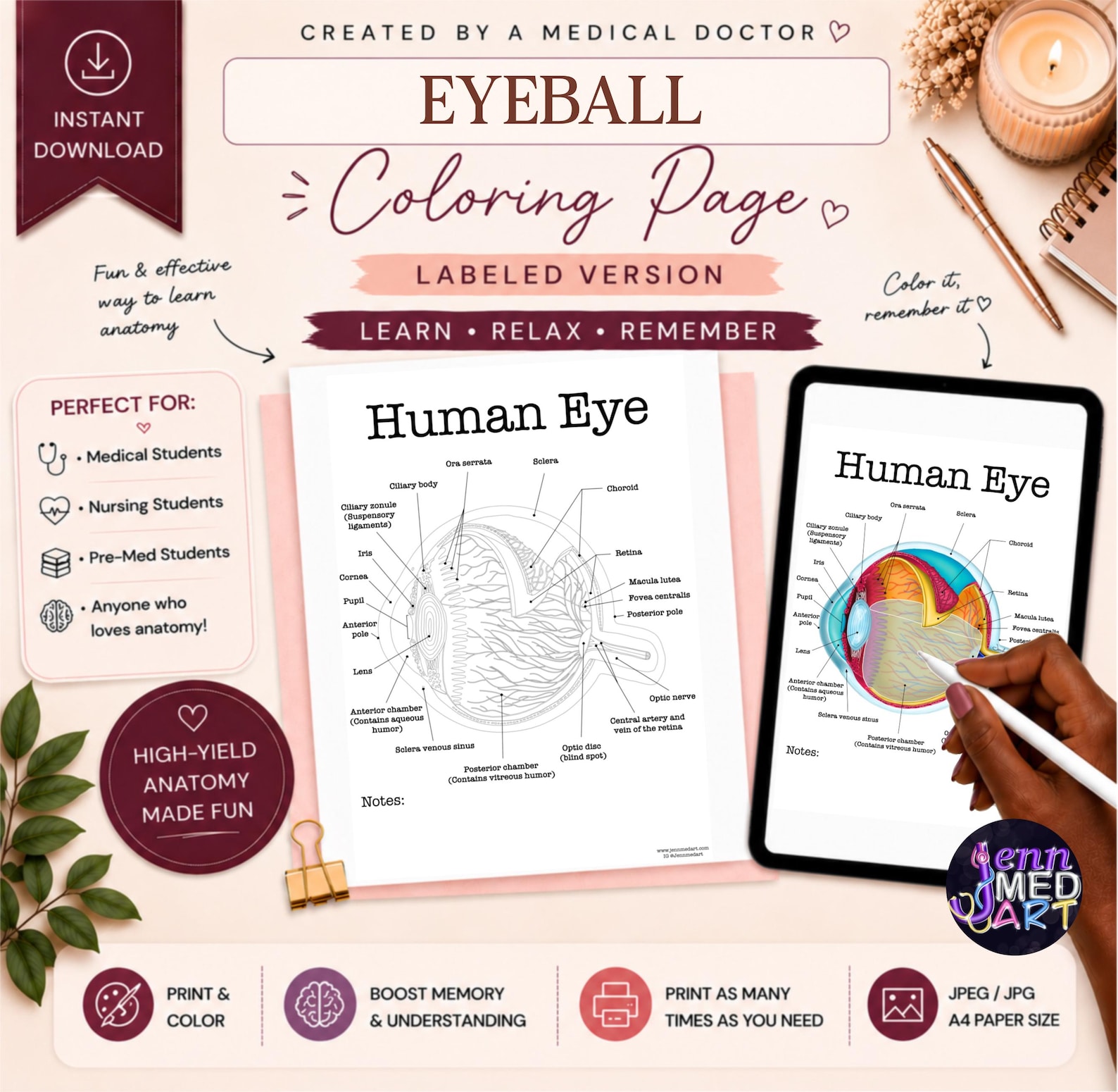 Human Eyeball Coloring Page | Labeled | Eye Anatomy Study Guide | RN ...