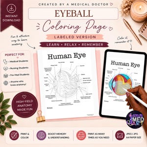 Könnte beinhalten: Anatomie-Malvorlage mit dem Titel "Eyeball Coloring Page" mit beschrifteten Diagrammen des menschlichen Auges. Enthält den Text "Learn, Relax, Remember" und "Print & Color". Das Bild zeigt auch ein Tablet, das ein farbiges Diagramm des Auges anzeigt.