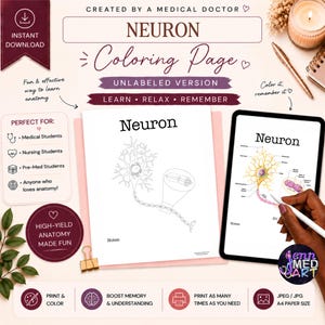 Neuron Anatomy Coloring Page | Unlabeled | Nervous System Study Guide ...
