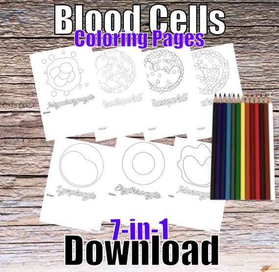 Blood Cells, 7-in-1 Coloring Pages, Digital Download Printable RBC Neutrophil Eosinophil Basophil Macrophage Lymphocyte Student Study Guide