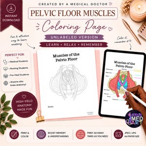 May include: Anatomy coloring page titled "Pelvic Floor Muscles" with an unlabeled diagram and a labeled version on a tablet. The image includes text that says "Learn, Relax, Remember" and "Instant Download".