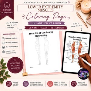 May include: Anatomy coloring page titled "Lower Extremity Muscles" with unlabeled diagrams and a labeled diagram on a tablet. Includes text: "Learn, Relax, Remember." Also includes text: "Print & Colour," "Boost Memory & Understanding," and "Print as many times as you need."