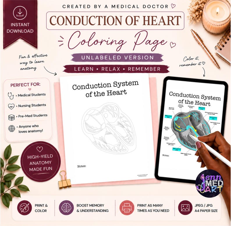 Heart Conduction System Coloring Page | Unlabeled | Cardiac Anatomy ...