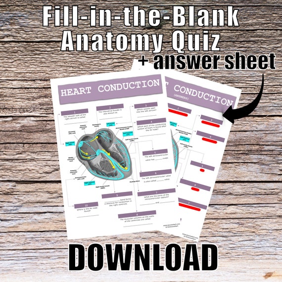 Heart Conduction Anatomy QUIZ Worksheet + Answers - Digital Download Printable Anatomy Worksheet Nurse Science Biology Student Study Notes