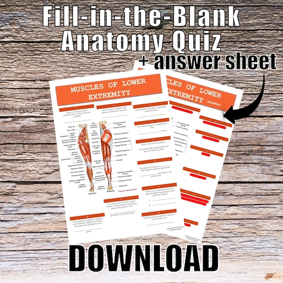 Muscles of the Lower Extremities Anatomy QUIZ Worksheet + Answers - Digital Download Printable Anatomy Worksheet Biology Student Study Notes