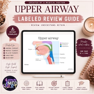 May include: A digital review guide titled "Upper Airway Labeled Review Guide" with a diagram of the upper airway. The guide is designed for nursing and medical students, PA & NP students, and USMLE and NCLEX prep. The guide is a digital download.