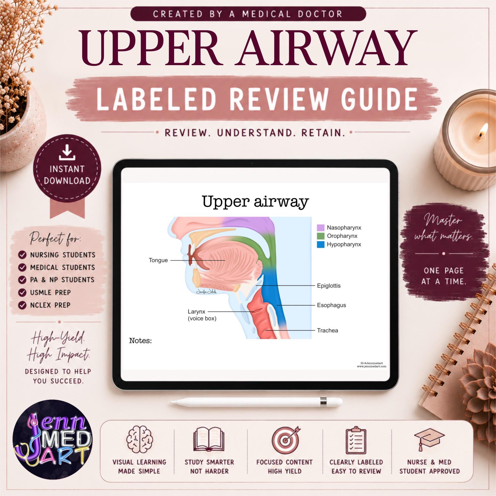 Upper Airway Anatomy Review Guide | Labeled | Respiratory System Study ...