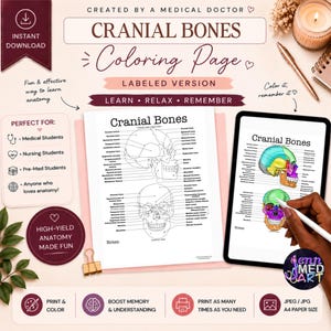 May include: A digital download anatomy coloring page titled "Cranial Bones." The image features a labeled diagram of the human skull, a tablet displaying a colored version, and text that reads "Learn, Relax, Remember." The download is designed for medical students and anatomy enthusiasts.