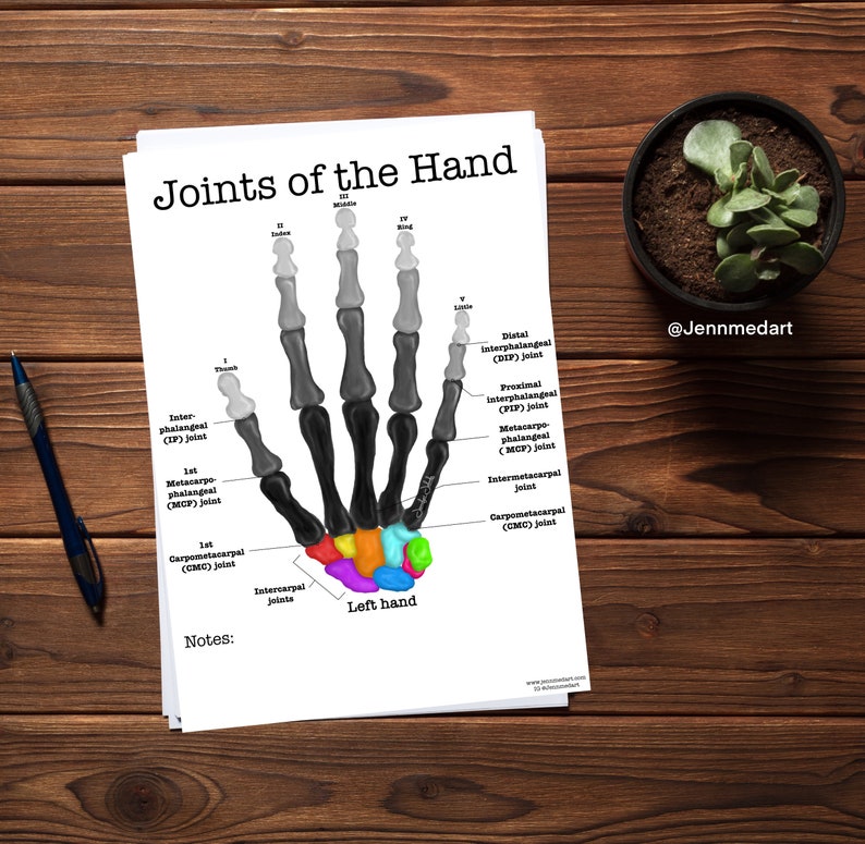 Joints of Hand Anatomy Coloring Page LABELED Digital Etsy