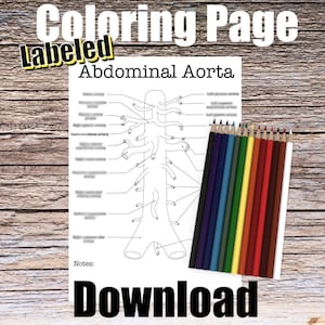 以下が含まれることがあります： 腹部大動脈の白黒の印刷可能な塗り絵ページ。さまざまな動脈のラベルが付いています。ページは木製の表面にあり、色鉛筆のセットがあります。