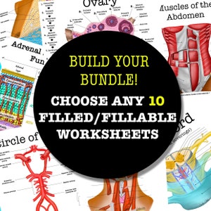 Build-Your-Own Filled/Fillable Anatomy Worksheet Bundle - 10 Pages- Digital Download Anatomy Notes Anatomy Worksheet Med Student Study Guide