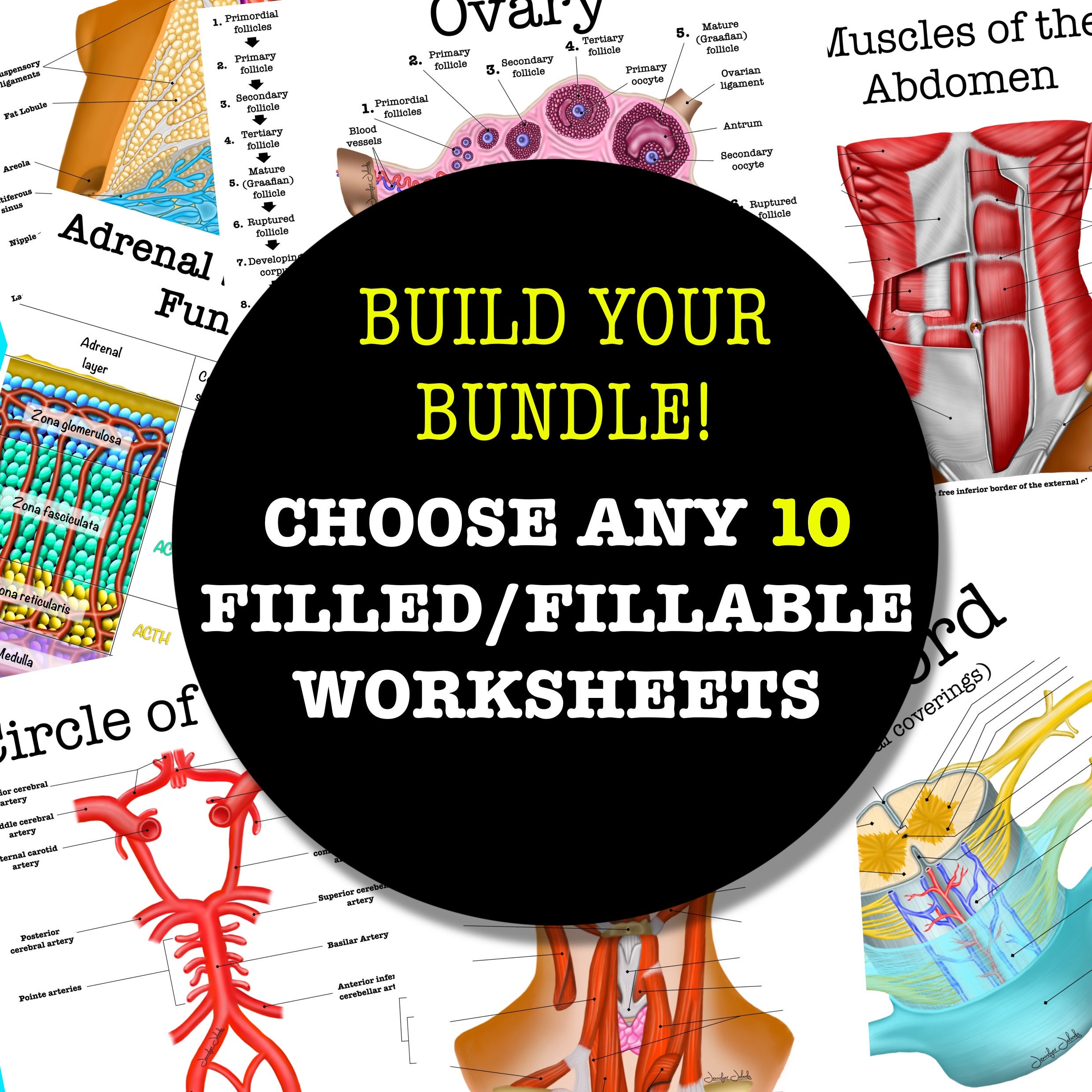 Build-your-own Filled/fillable Anatomy Worksheet Bundle - 10 Pages- Digital Download Anatomy ...