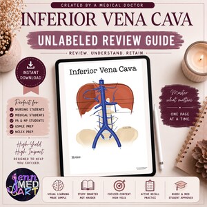 May include: Anatomy review guide titled "Inferior Vena Cava" with a detailed illustration of the vena cava. The guide is designed for nursing and medical students. Includes the text "Unlabeled Review Guide" and "Instant Download".