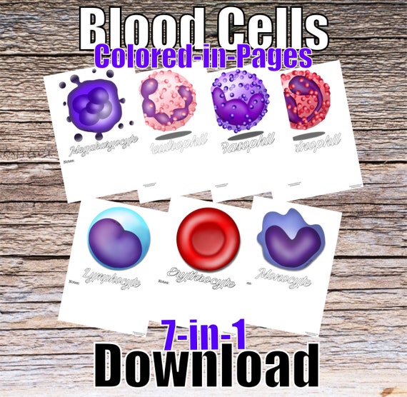 Blood Cells 7-in-1 Colored-in-Pages, Digital Download Printable RBC Neutrophil Eosinophil Basophil Macrophage Lymphocyte Student Study Guide