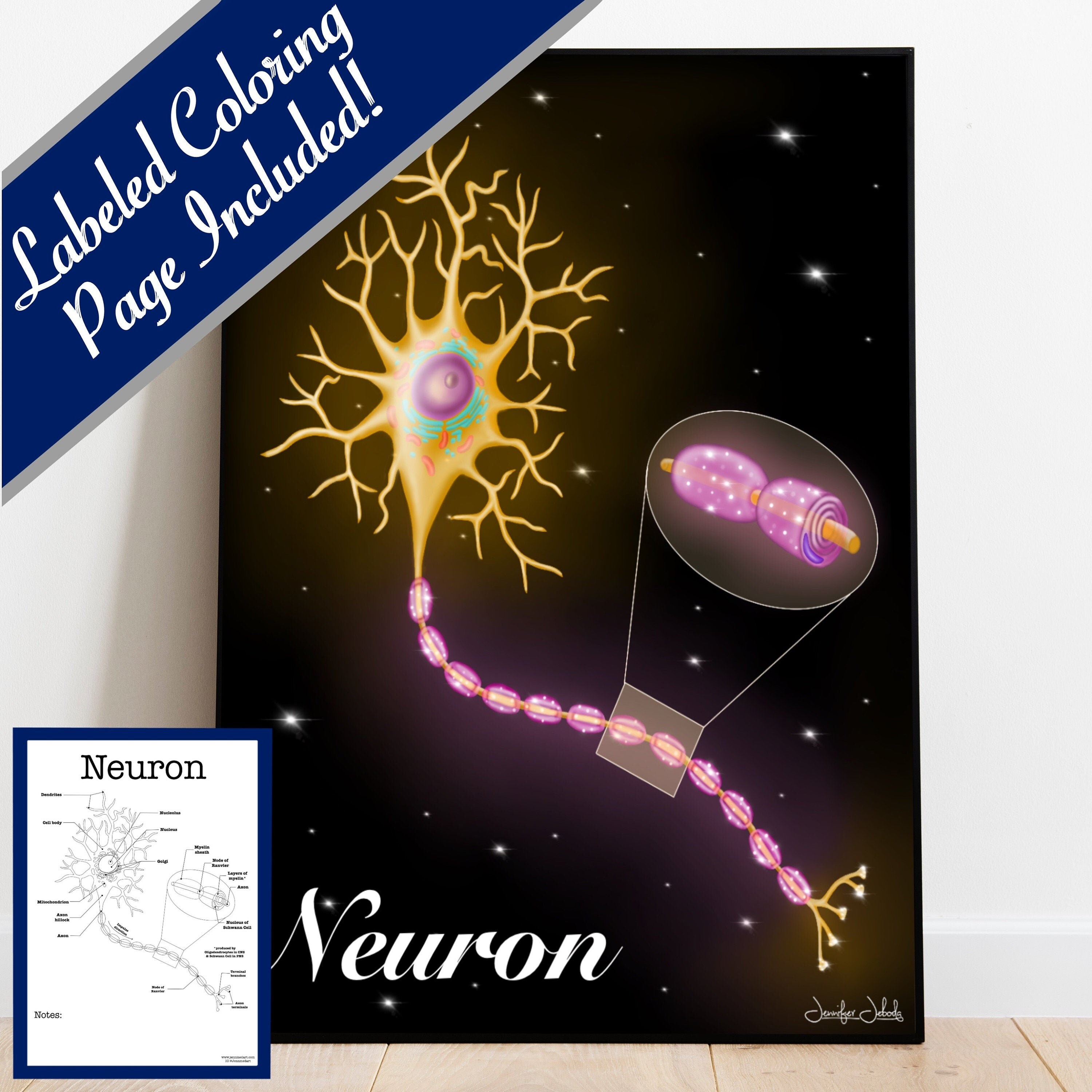 Neuron Printable, 30 x 36 Wall Art, Coloring Page Included