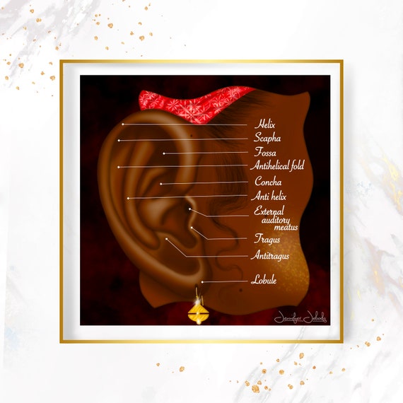 Ear on Fleek - 30x30, Digital Download ENT Surgeon Gift Otolaryngology Gift Private Practice Poster Human Ear Auricle Anatomy Wall Art