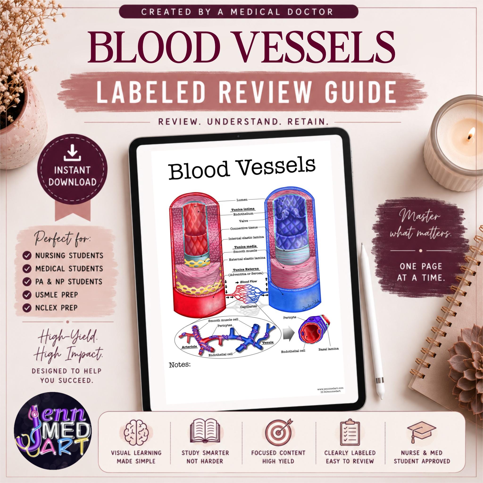Blood Vessel Anatomy Review Guide | Labeled | Artery & Vein Study Sheet ...