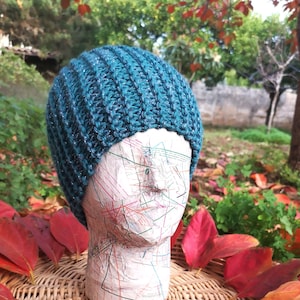 HAT ASIA, knitted hats for women, wool hat, winter hat women, wool hat women, wool hat knitted, accessories, crochet hat, hats, handmade