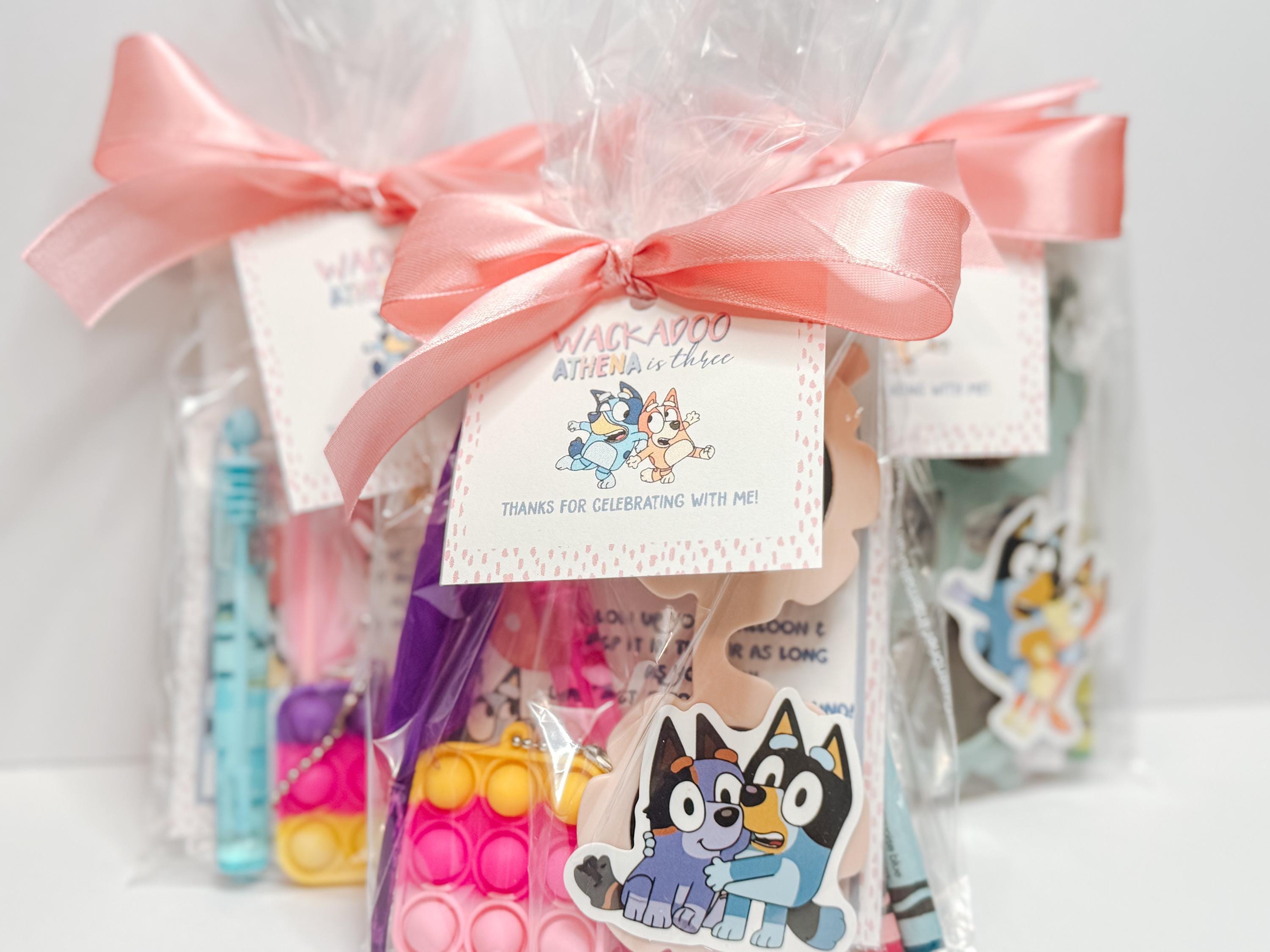 Custom Bluey Favor Bags with Toys