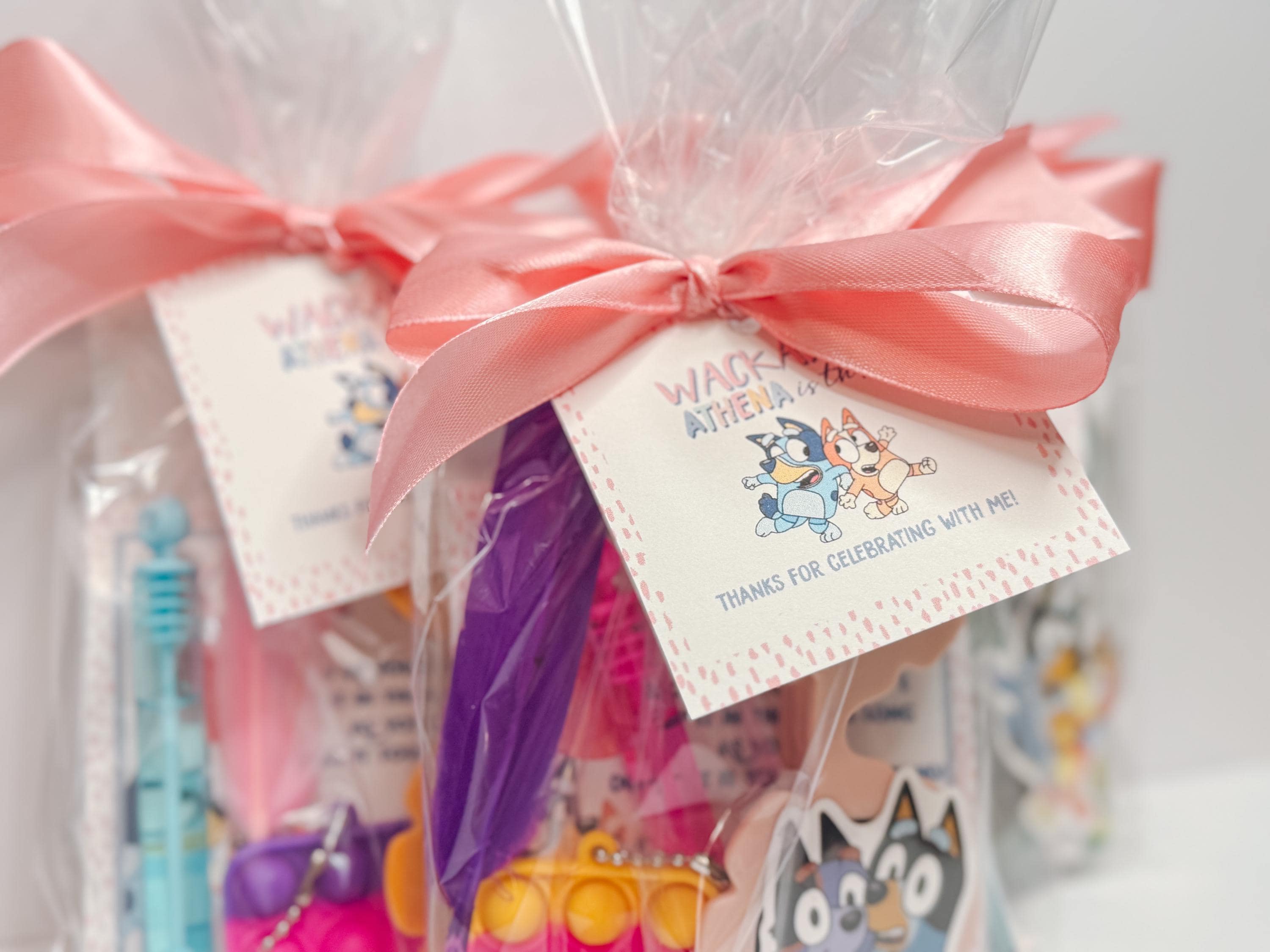 Custom Bluey Favor Bags with Toys