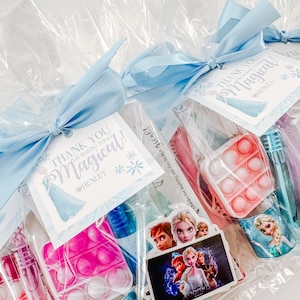 Frozen Goodie Bag Party Favors, Ice Princess Goodie Bag, Custom Frozen ...