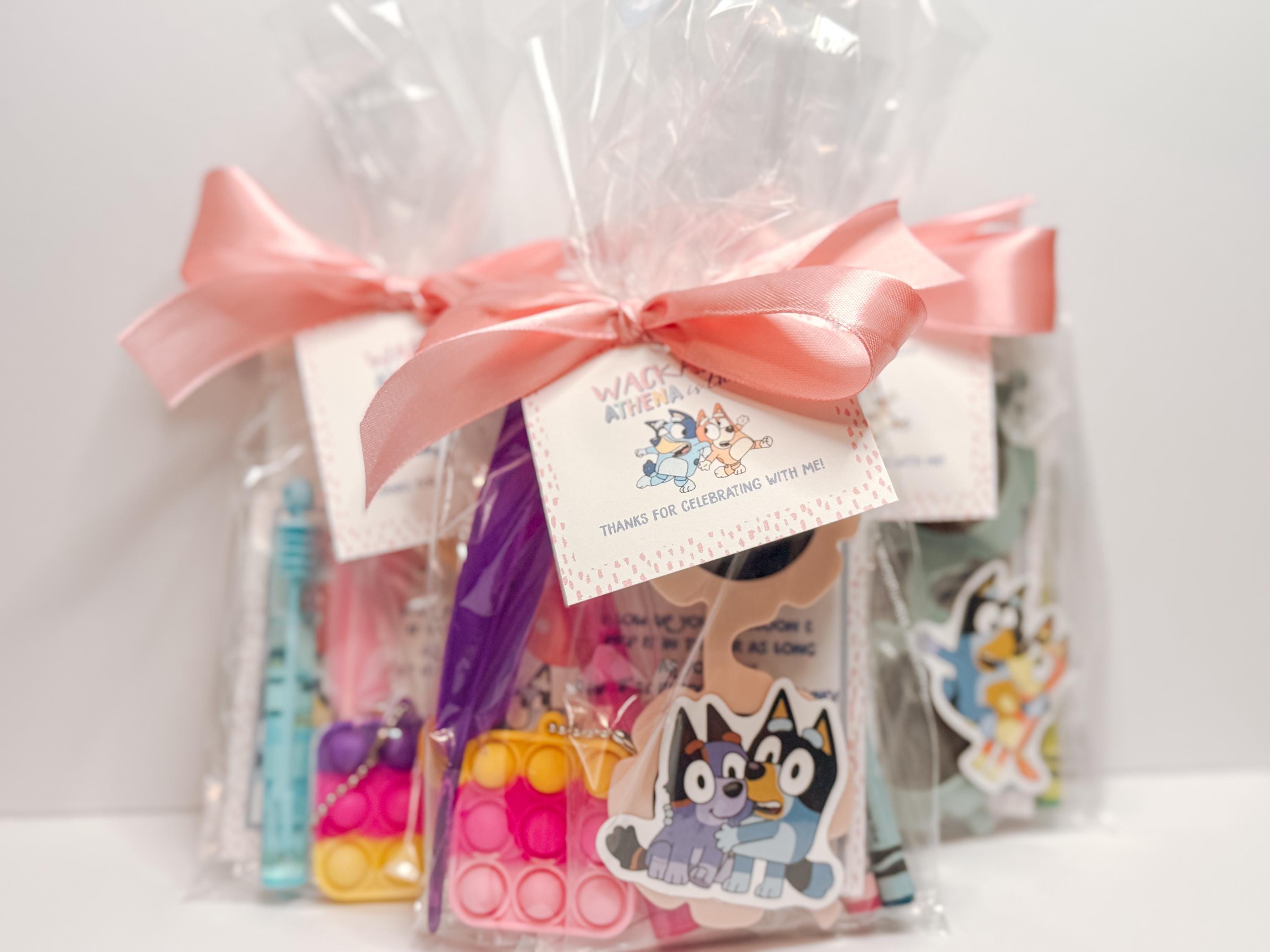 Custom Bluey Favor Bags with Toys