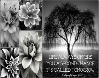 Second Chance Quotes Etsy