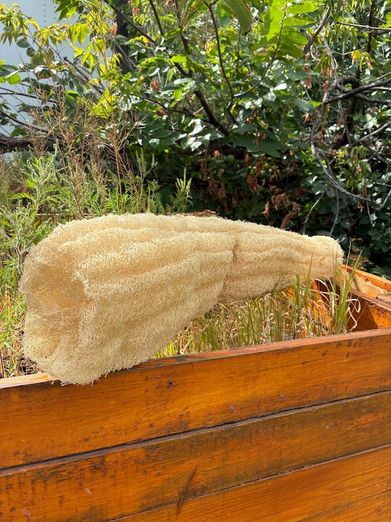 Natural Egyptian Biodegradable Luffa Loofa Lufa Loofah Bath & Household  Sponge Cleaning- 24/60cm or More| Natural Compostable Sponge - Etsy