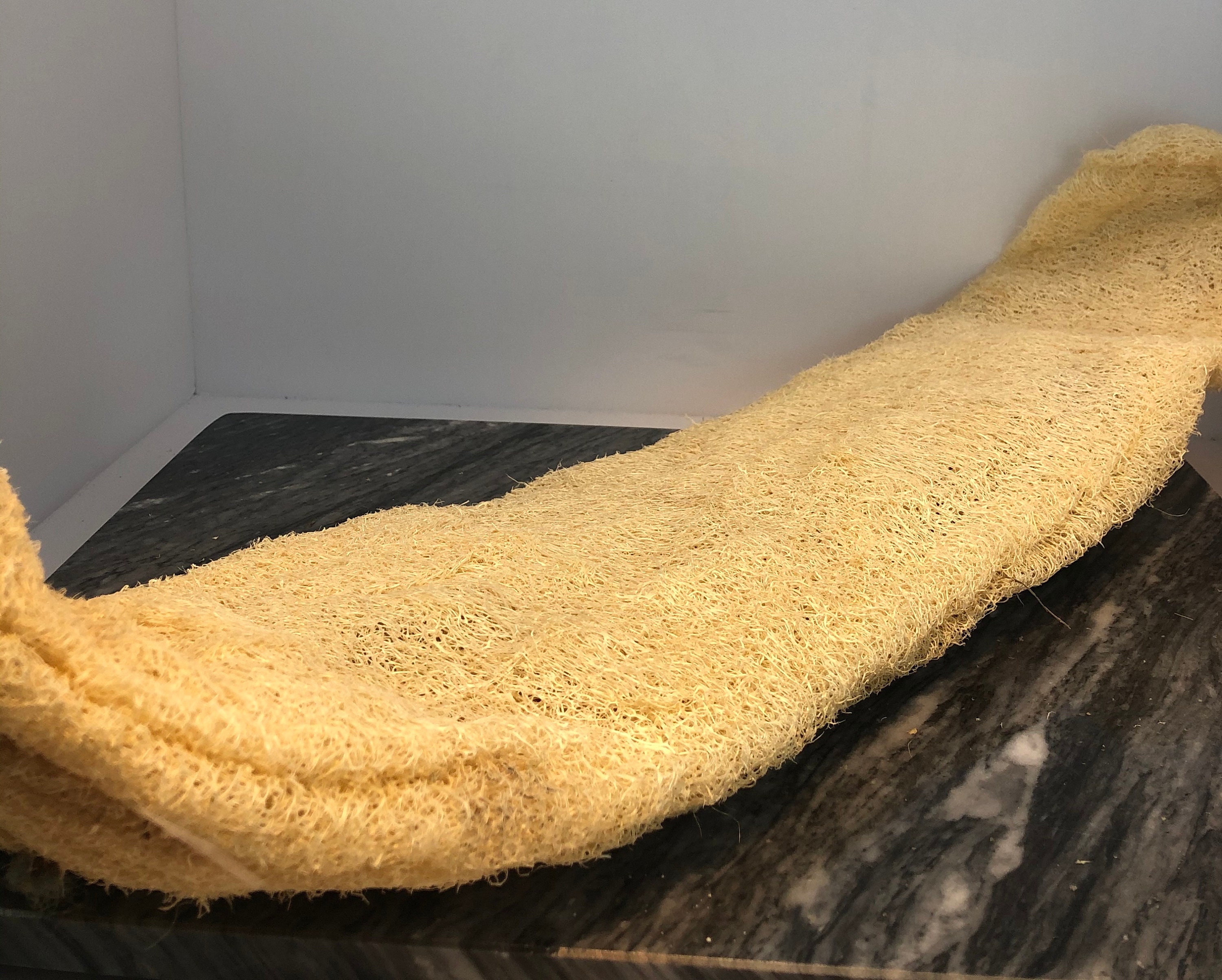 Natürliche ägyptische Luffa Loofa Lufa Loofah Bad & Etsy