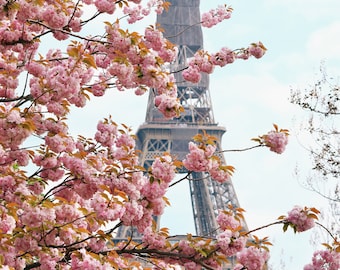 Eiffel in bloom