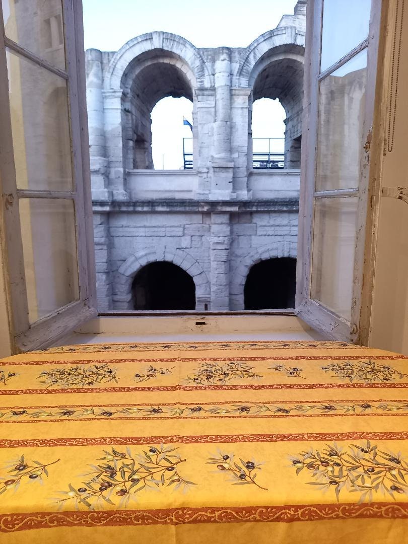 Nappe Provençale Coton Rectangle 250x160 cm Motifs Clos Des Oliviers /Coloris Jaune