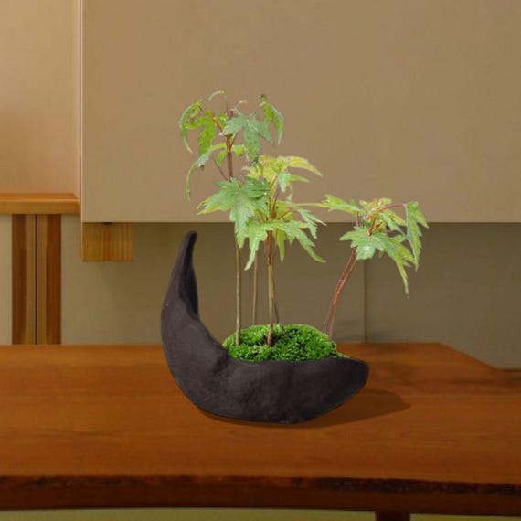 Japanischer handgefertigter Bonsai-Topf, klein / Seto-Ware - Etsy sterreich